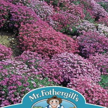 AUBRIETA Cascade Mixed