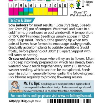 SWEET PEA Little Bit O Magic