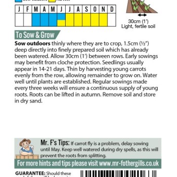 CARROT Chantenay Red Cored 2