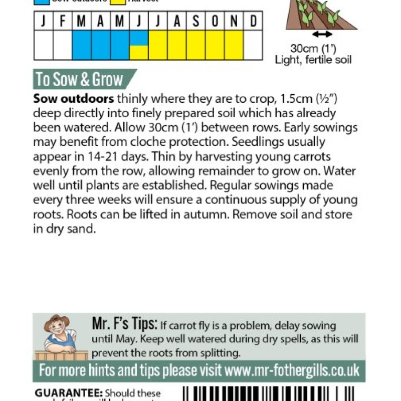 CARROT Chantenay Red Cored 2