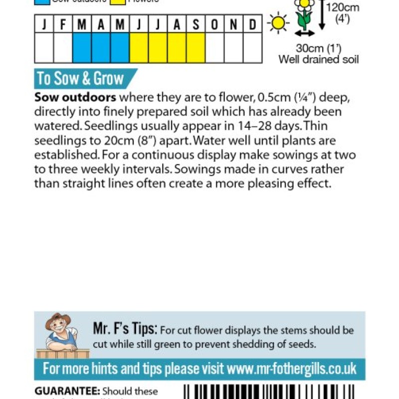 GRASS Foxtail Millet Hylander