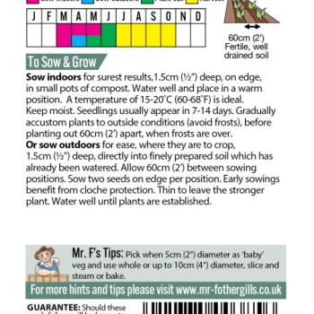 SQUASH (Summer) Sunburst F1