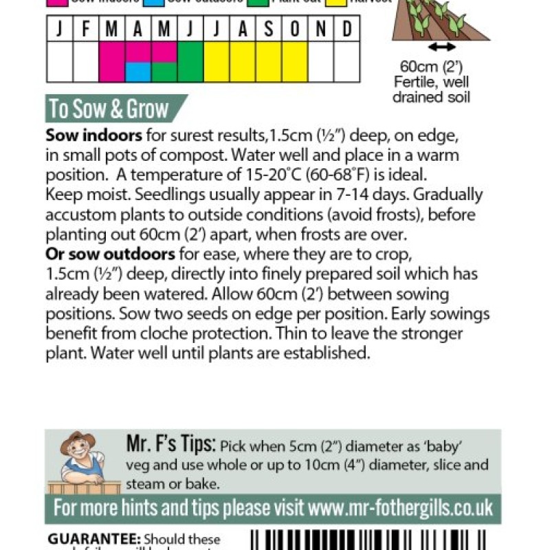 SQUASH (Summer) Sunburst F1