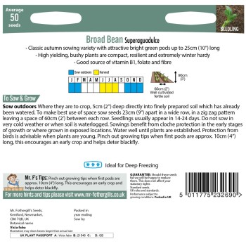 BROAD BEAN Superaguadulce