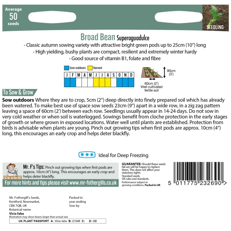 BROAD BEAN Superaguadulce