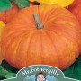 PUMPKIN Rouge vif d'Etampes