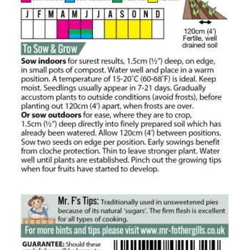 PUMPKIN Rouge vif d'Etampes