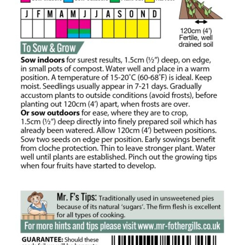 PUMPKIN Rouge vif d'Etampes