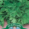 PARSLEY Giant of Italy
