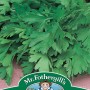 PARSLEY Giant of Italy