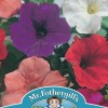 PETUNIA Confetti Mixed F2