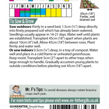 CABBAGE (Red) Romanov F1