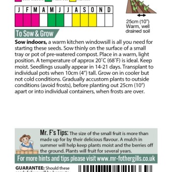 STRAWBERRY Red & White Mixed