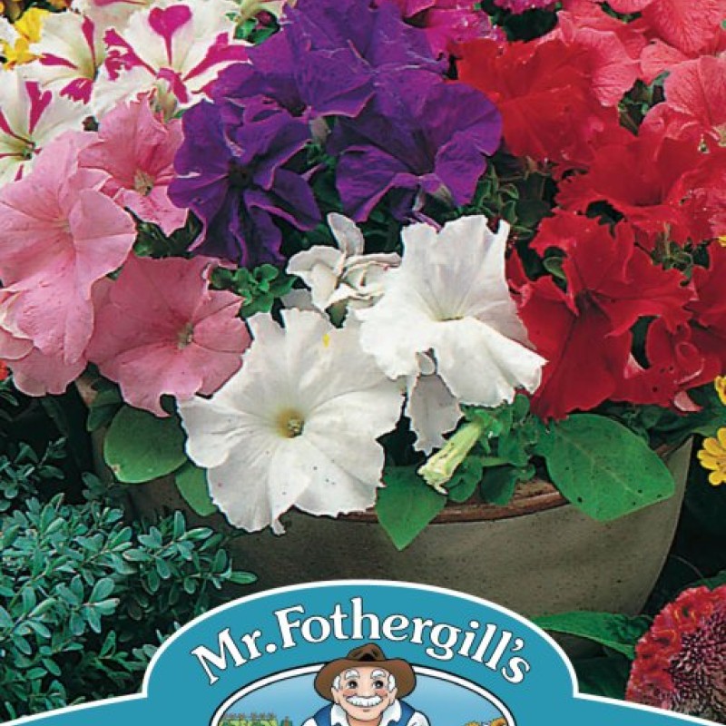 PETUNIA Mr F's Grandiflora Mixed F1