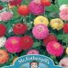 ZINNIA Sunbow Mixed