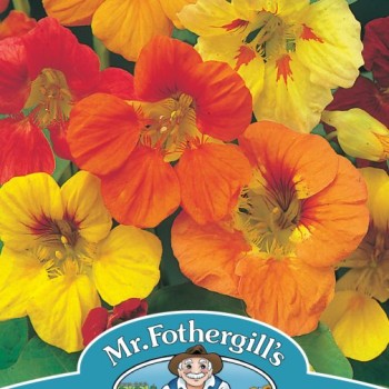 NASTURTIUM (Trailing) Mixed