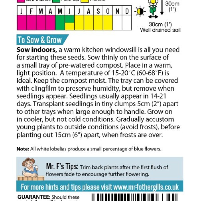 LOBELIA White Fountain