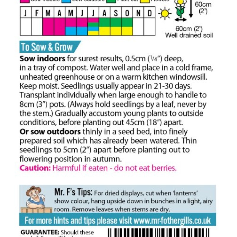 CHINESE LANTERNS Physalis alkekengi