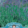 LAVENDER Munstead