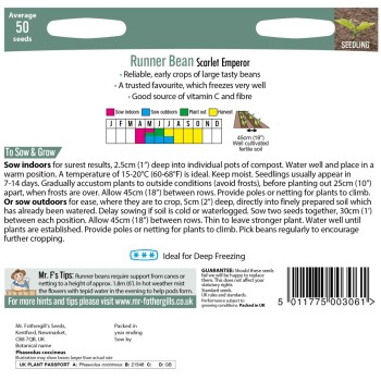 RUNNER BEAN Scarlet Emperor