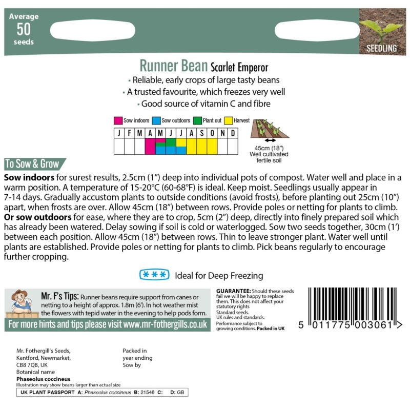 RUNNER BEAN Scarlet Emperor