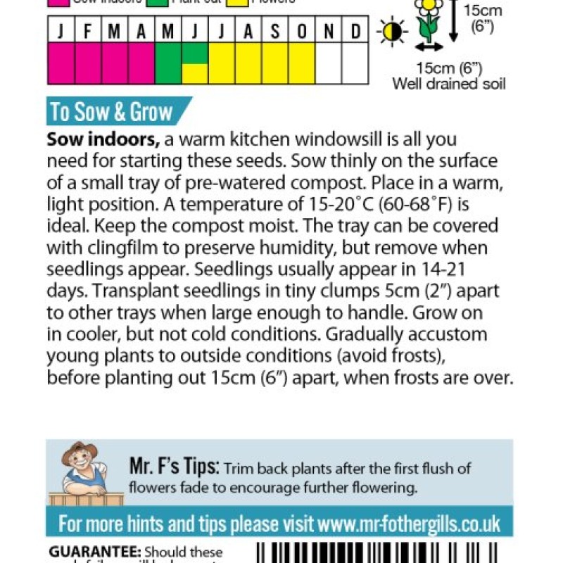 LOBELIA Crystal Palace