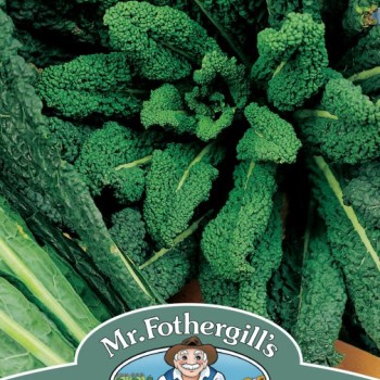 KALE Nero Di Toscana