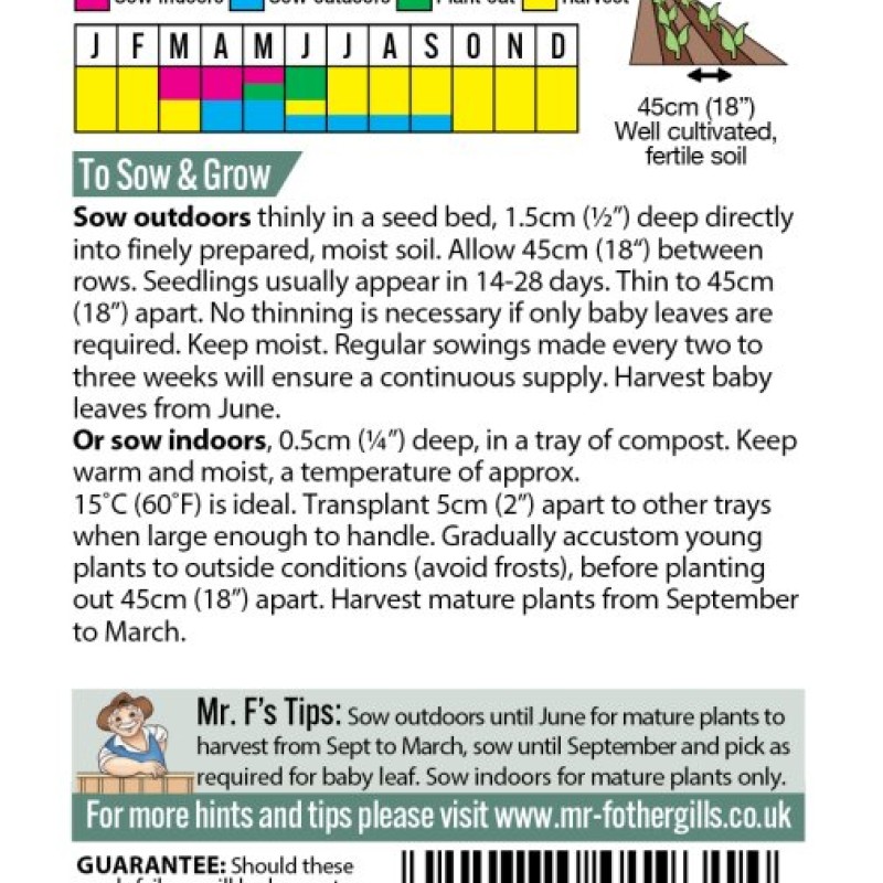 KALE Nero Di Toscana