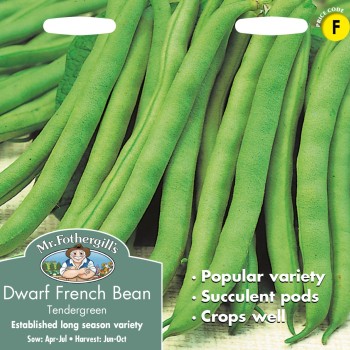 DWARF FRENCH BEAN Tendergreen