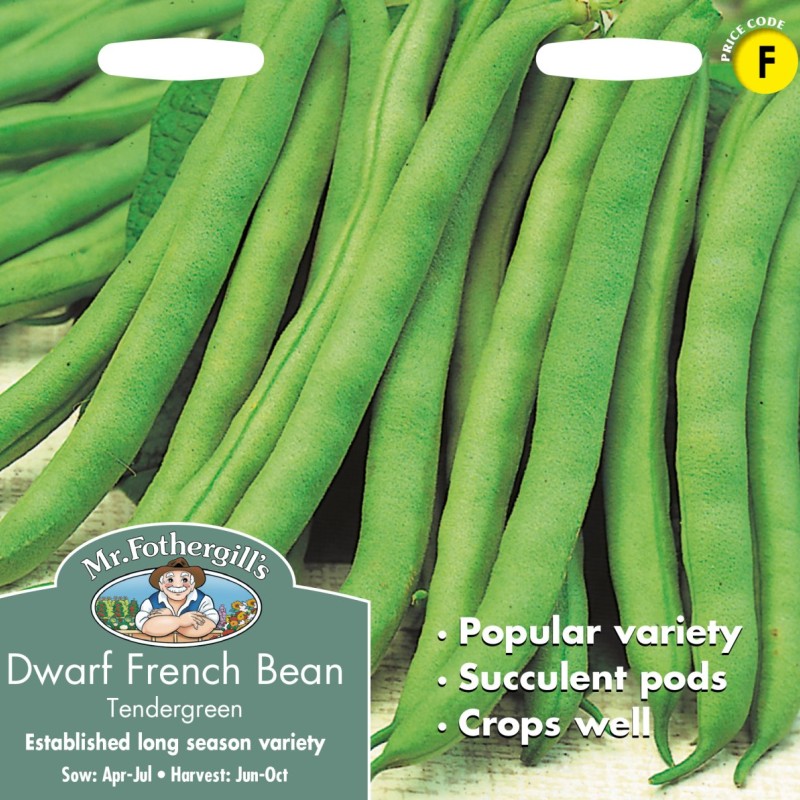 DWARF FRENCH BEAN Tendergreen