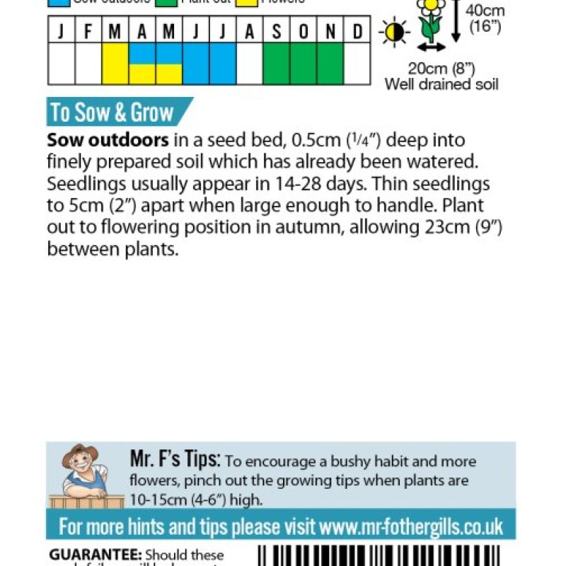 WALLFLOWER Choice Mixed