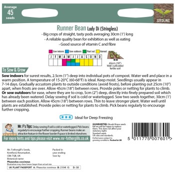 RUNNER BEAN Lady Di