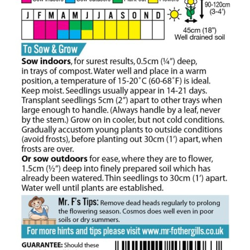 COSMOS Seashells Red