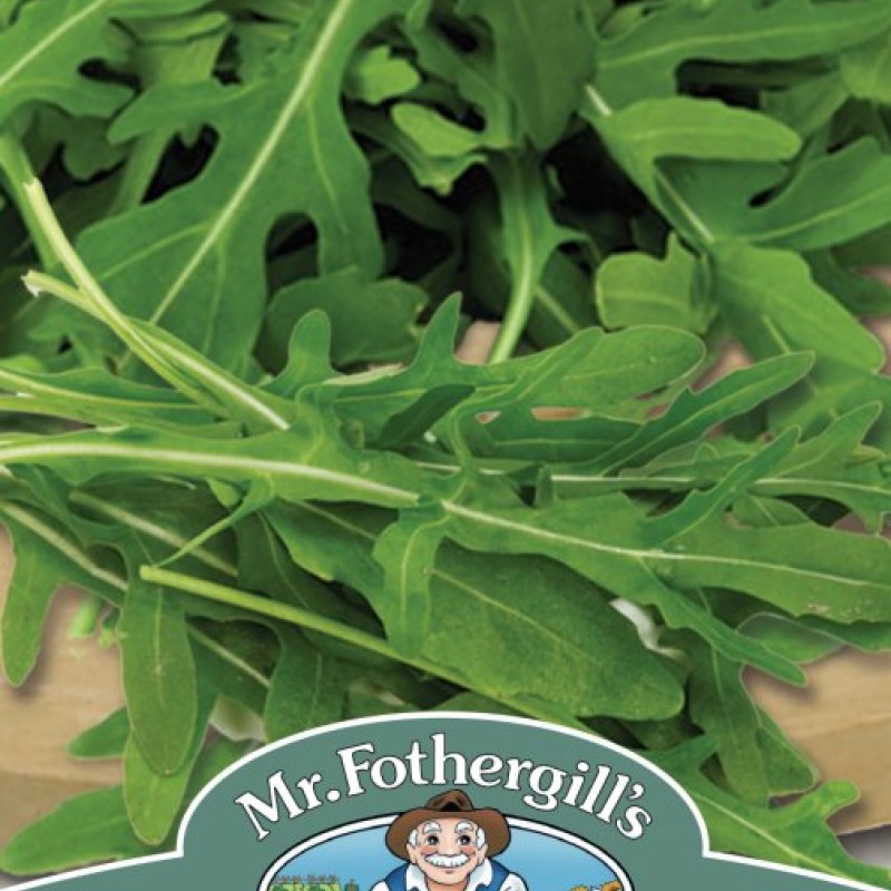 ROCKET WILD Tricia (All year round)