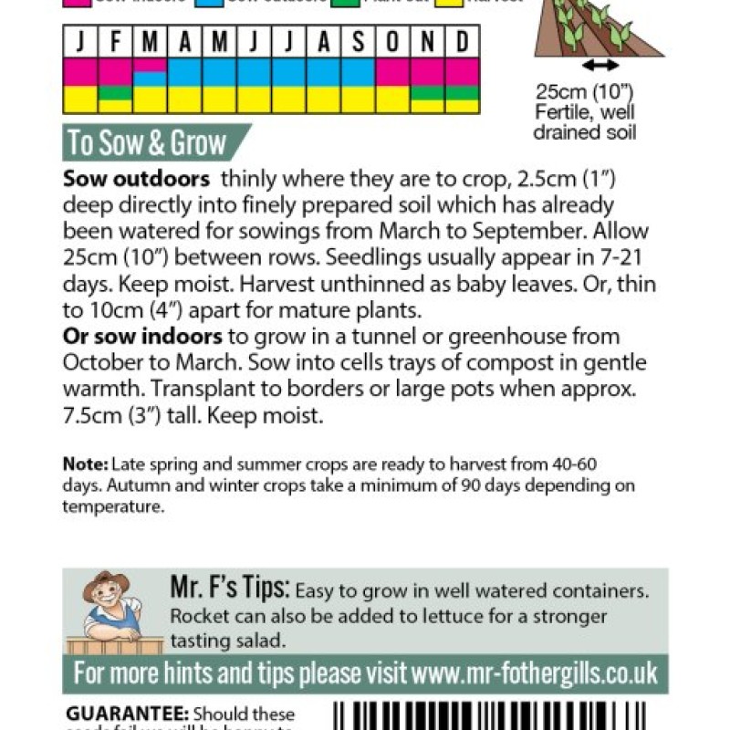 ROCKET WILD Tricia (All year round)