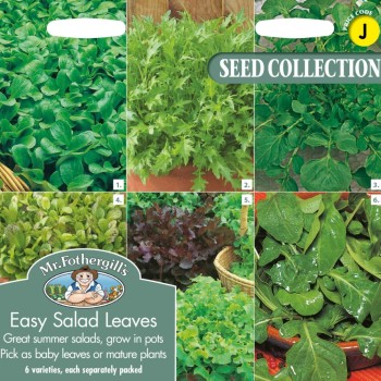 EASY SALAD LEAVES
