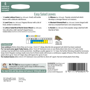 EASY SALAD LEAVES