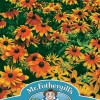 RUDBECKIA Rustic Dwarf Mixed
