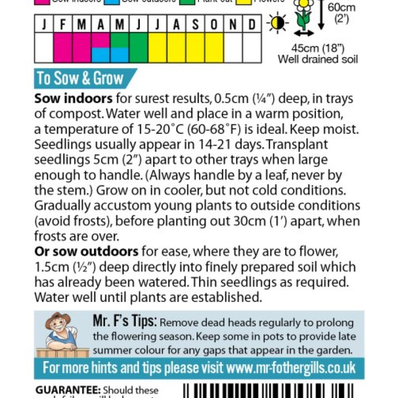 RUDBECKIA Rustic Dwarf Mixed