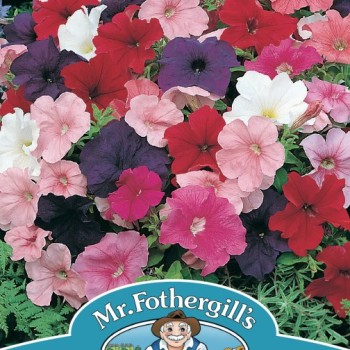PETUNIA Mr F's Multiflora Mixed F1