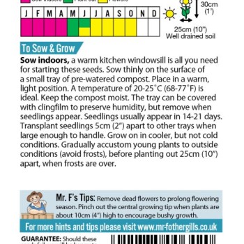 PETUNIA Mr F's Multiflora Mixed F1