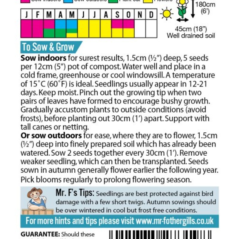 SWEET PEA Lady Salisbury