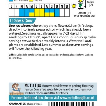 CALENDULA Pot Marigold Nova