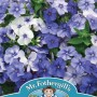 PHLOX Moody Blues