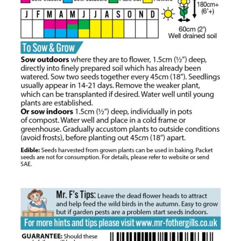 SUNFLOWER Giant Single