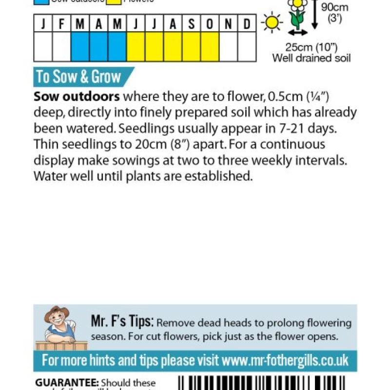 SCABIOUS Tall Double Mixed