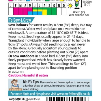 DELPHINIUM Pacific Giants Mixed