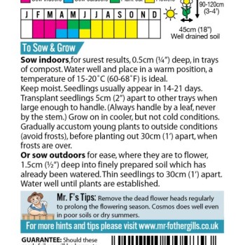 COSMOS Seashells Mixed