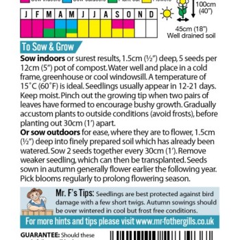 SWEET PEA Teresa Maureen