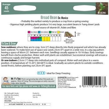 BROAD BEAN De Monica